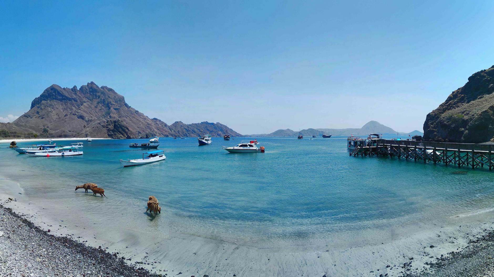 Autounfall A1 Detailansicht: Autounfall A1