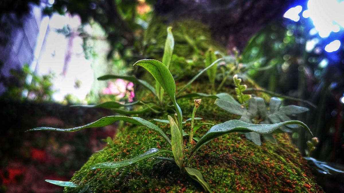 Axios Illustration zu Axios