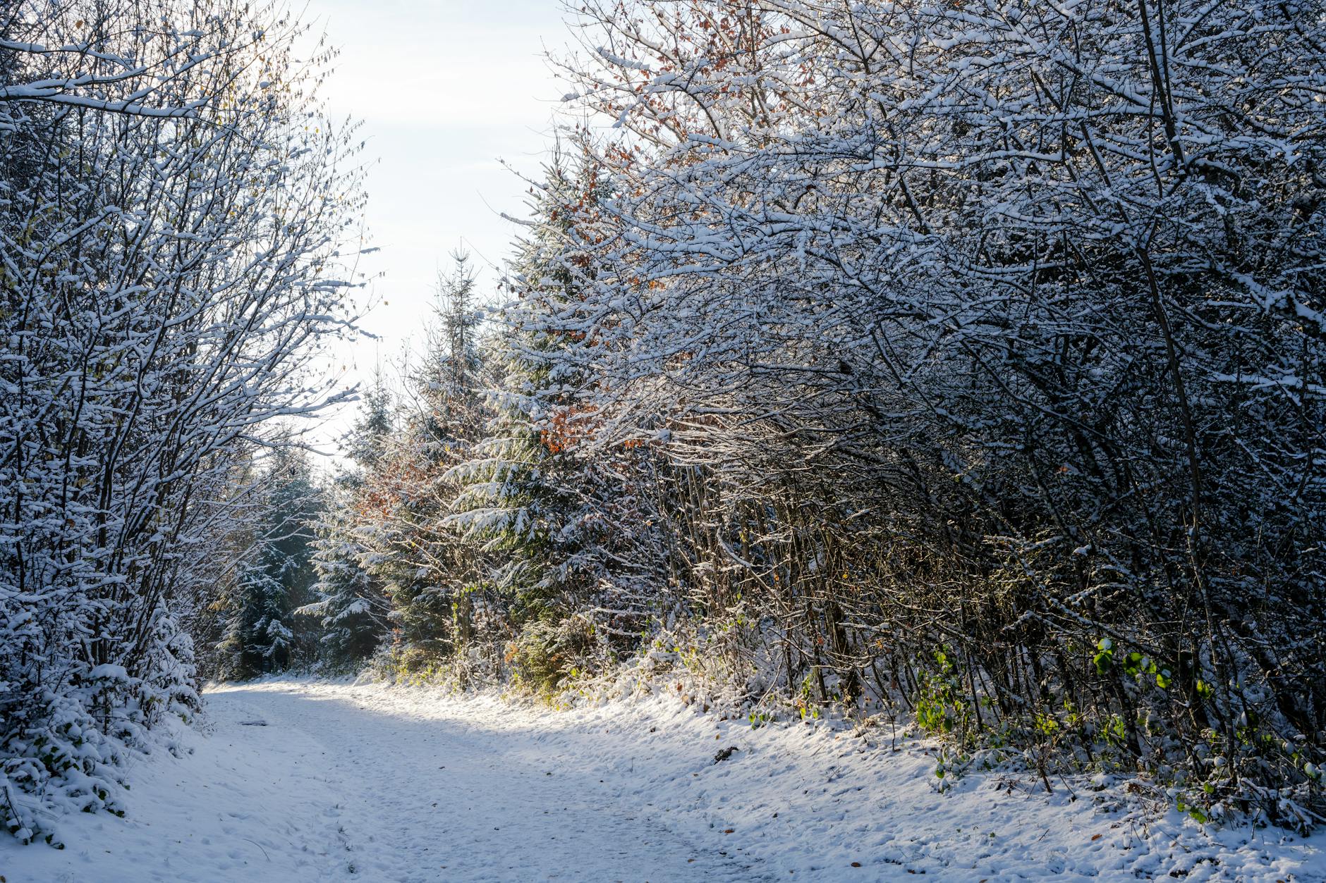 Barbrand Crans Montana Symbolbild zum Thema Barbrand Crans Montana