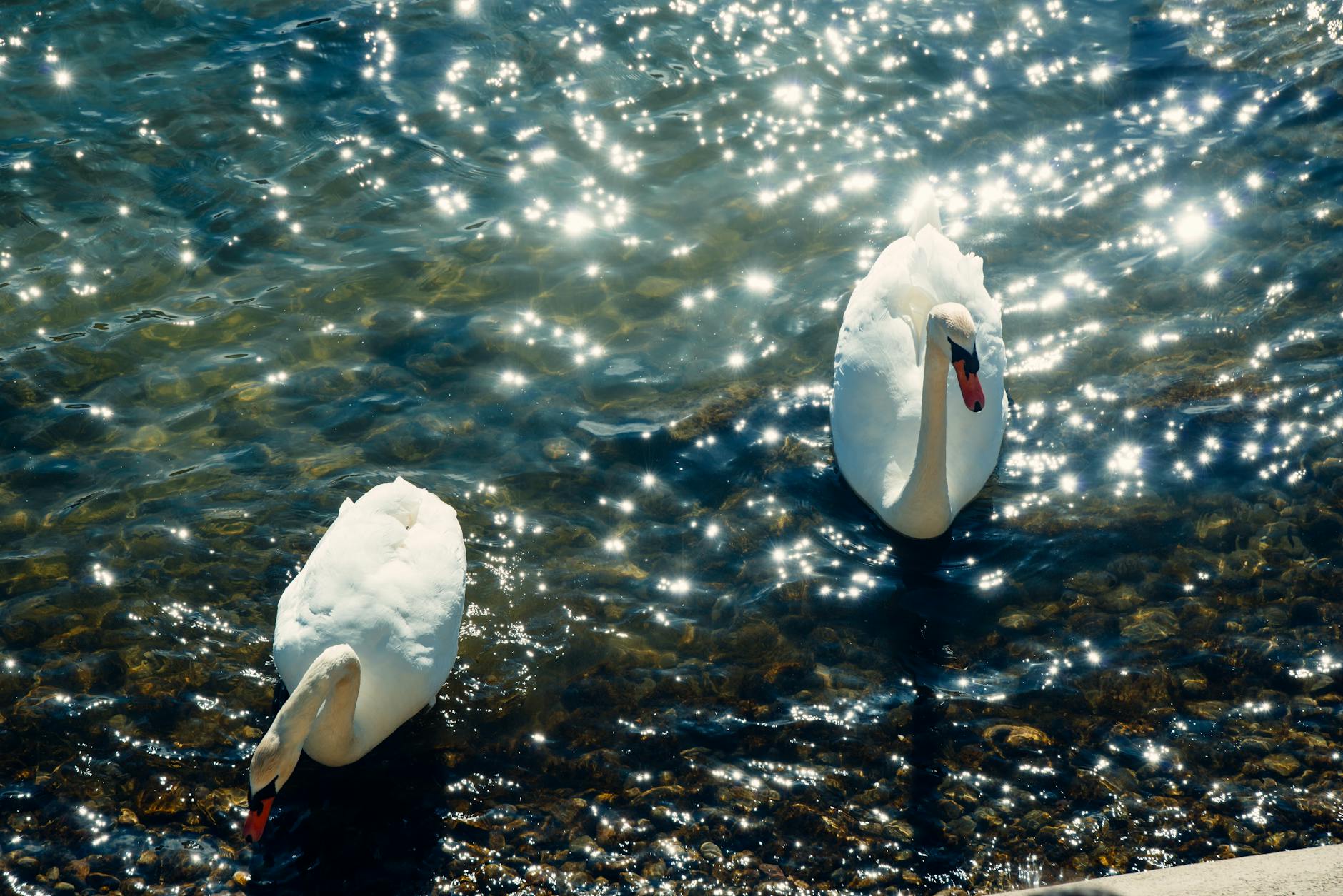 Detailansicht: Basel Schussabgabe