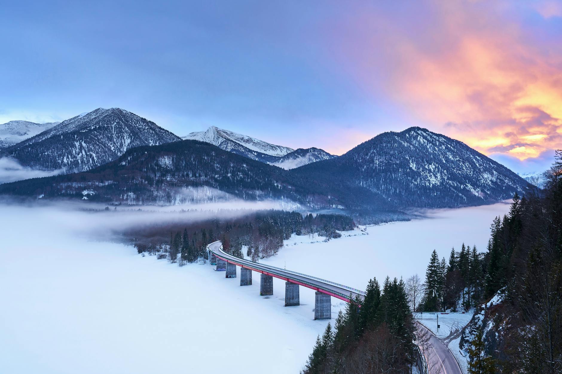Detailansicht: Bayern Nachwuchs