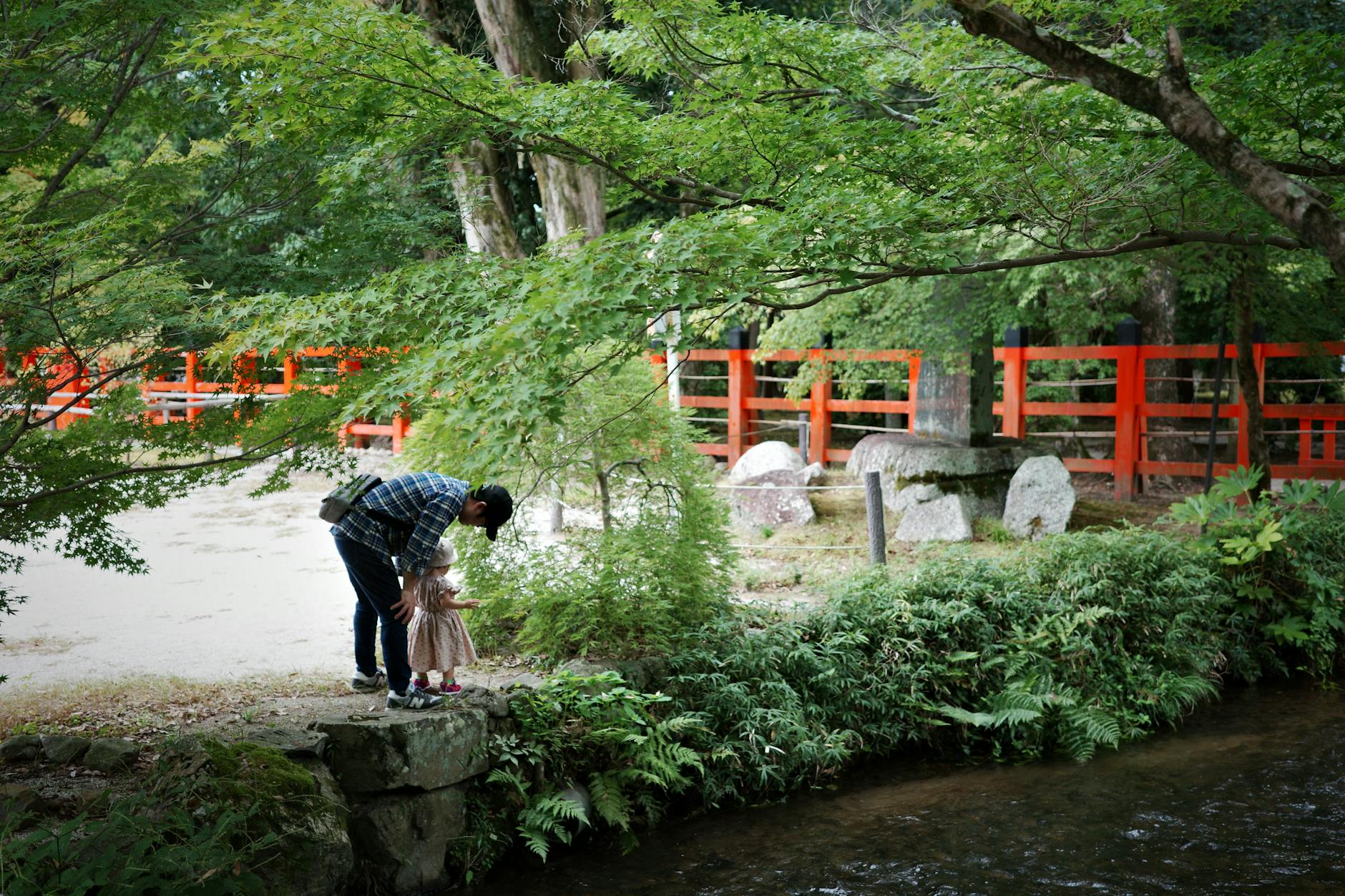 Beckham Familienstreit Illustration zu Beckham Familienstreit