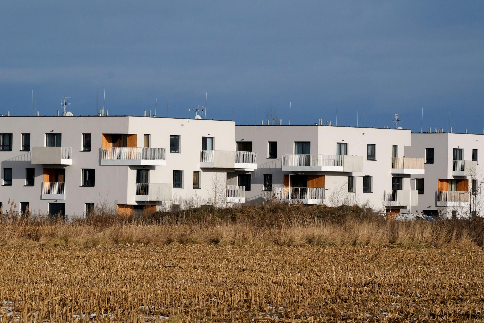 Illustration zu Beschlagnahmte Immobilien München