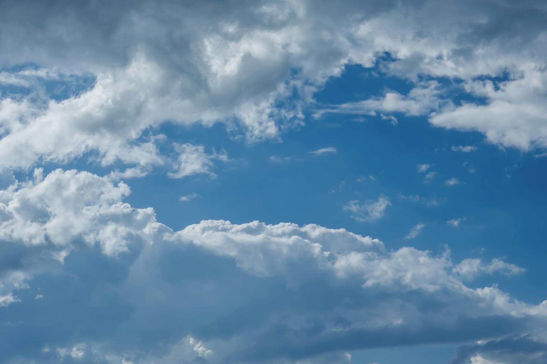 Detailansicht: Beschossene Krähe Freiburg