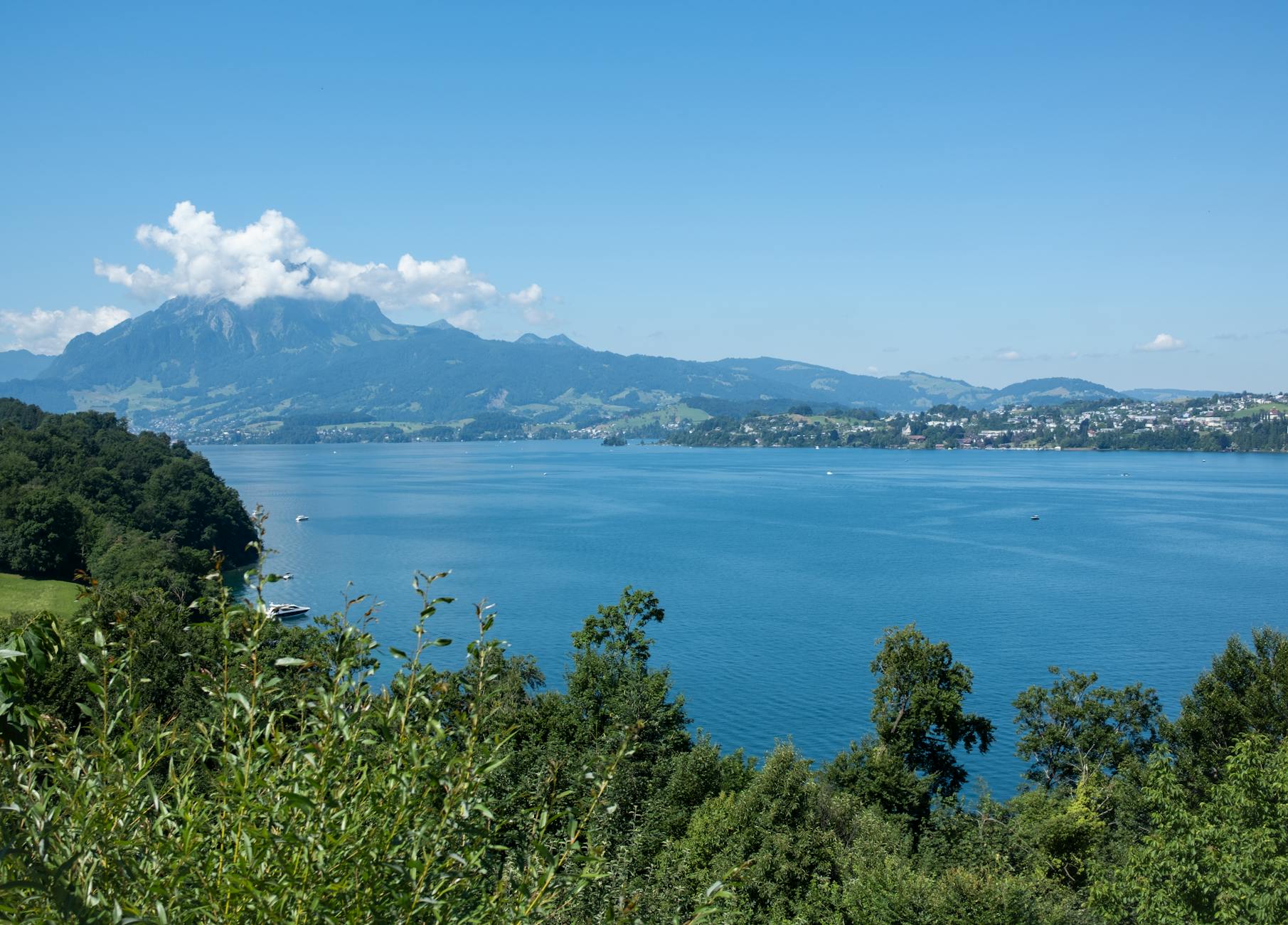 Detailansicht: Bestes Cordon Bleu Schweiz