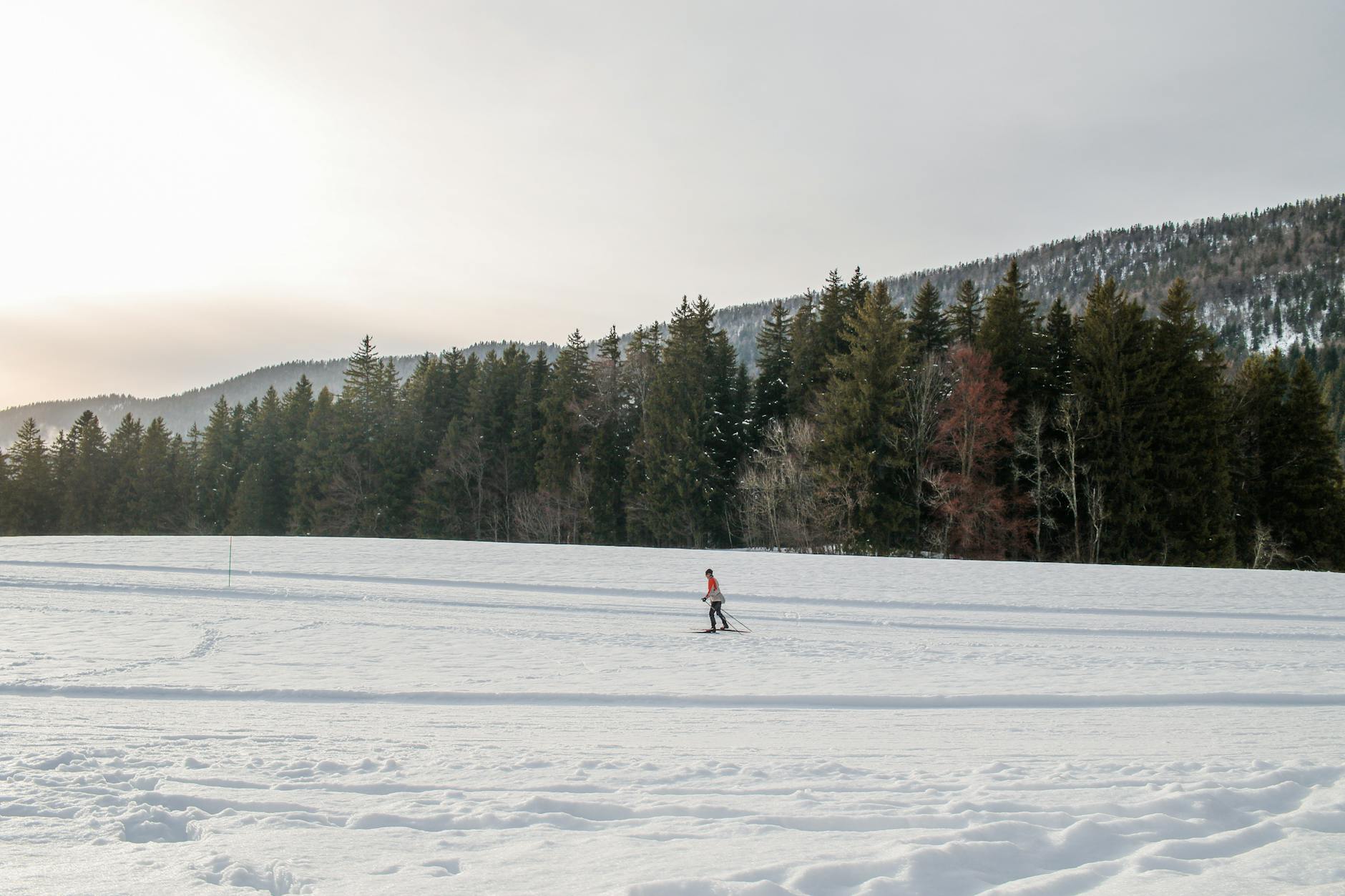 Illustration zu Biathlon Weltcup