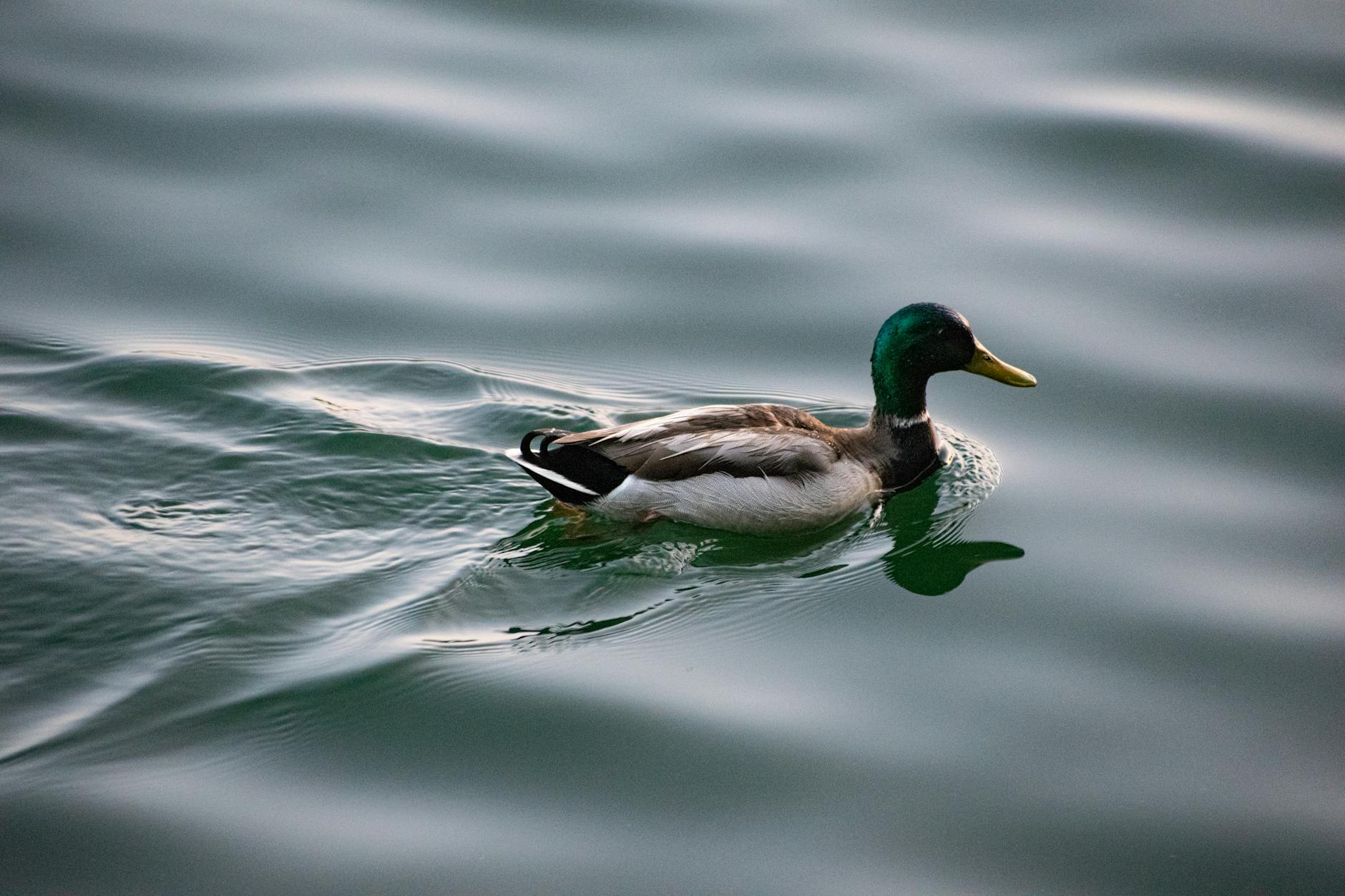 Symbolbild zum Thema Bill Kaulitz