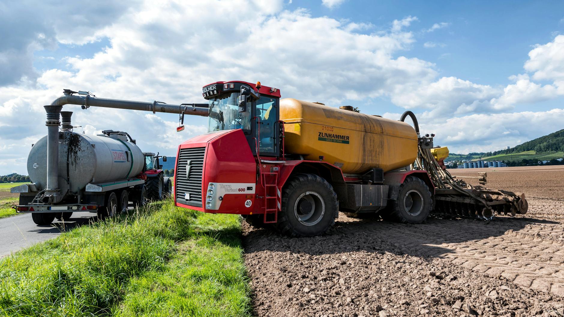 Biologische Unkrautbekämpfung Detailansicht: Biologische Unkrautbekämpfung