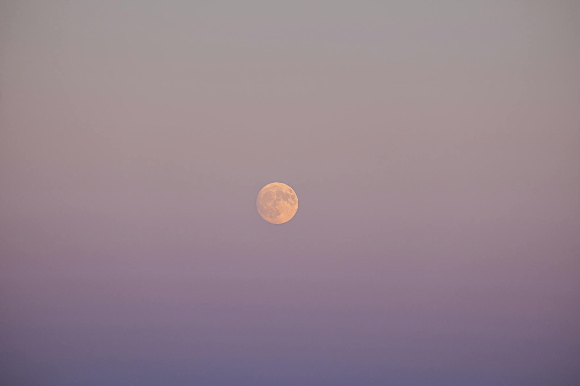 Illustration zu Blue Moon Film