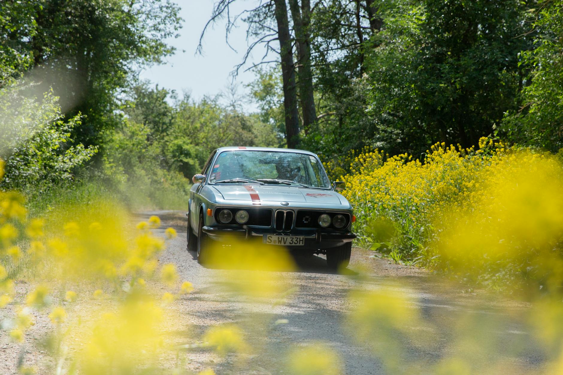 Illustration zu BMW Open 2026 Spielplan