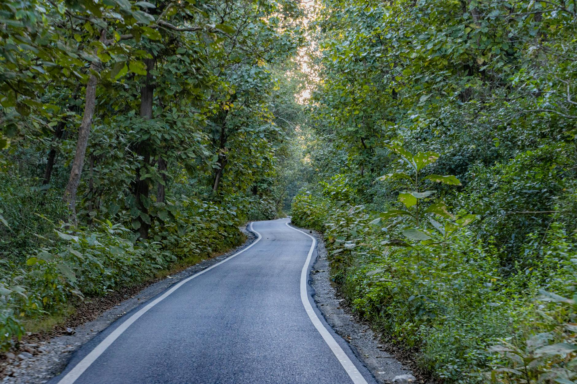 Bo Derek John Corbett Detailansicht: Bo Derek John Corbett