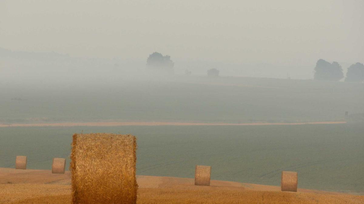Bombendrohung Schaffhausen Illustration zu Bombendrohung Schaffhausen