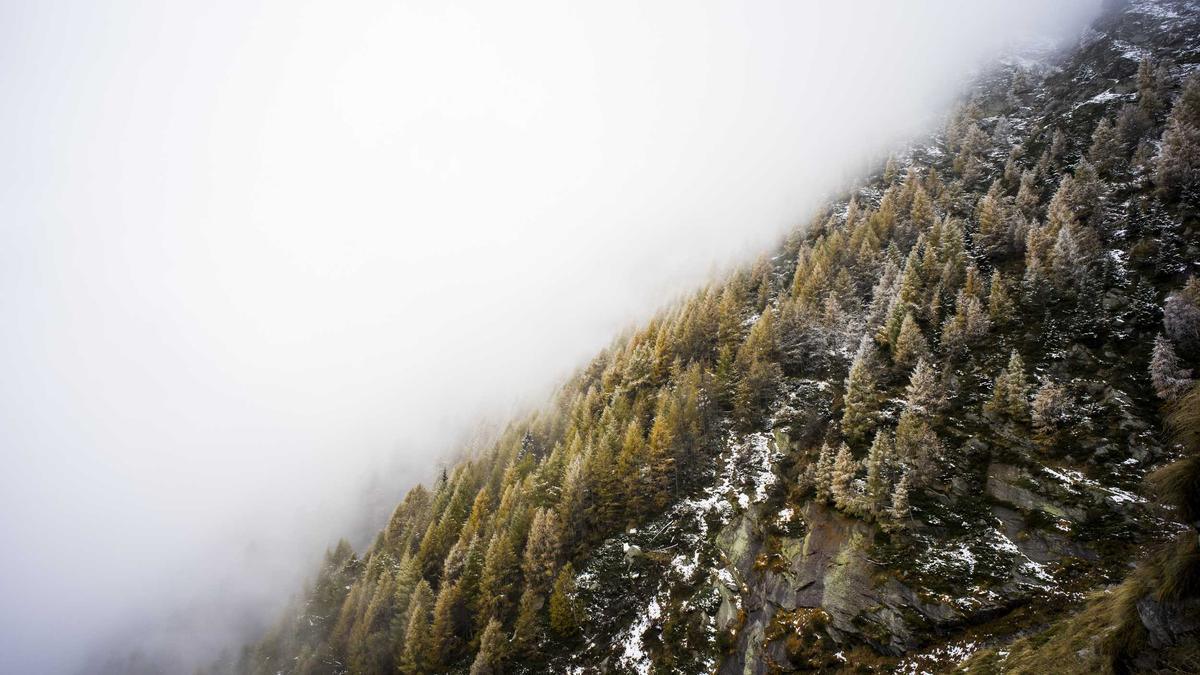 Detailansicht: Bournemouth – Manchester United