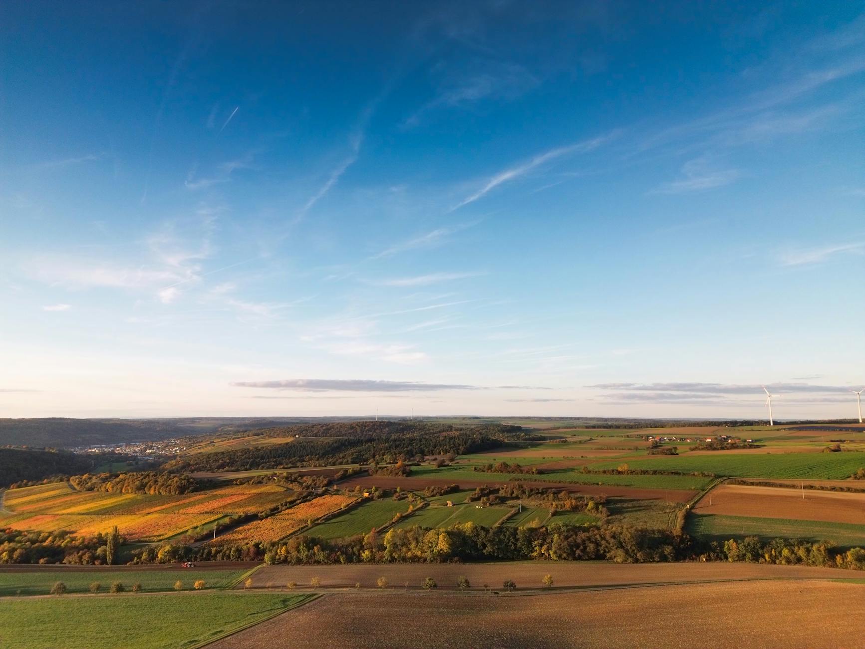 Illustration zu Brand Sulz Am Neckar