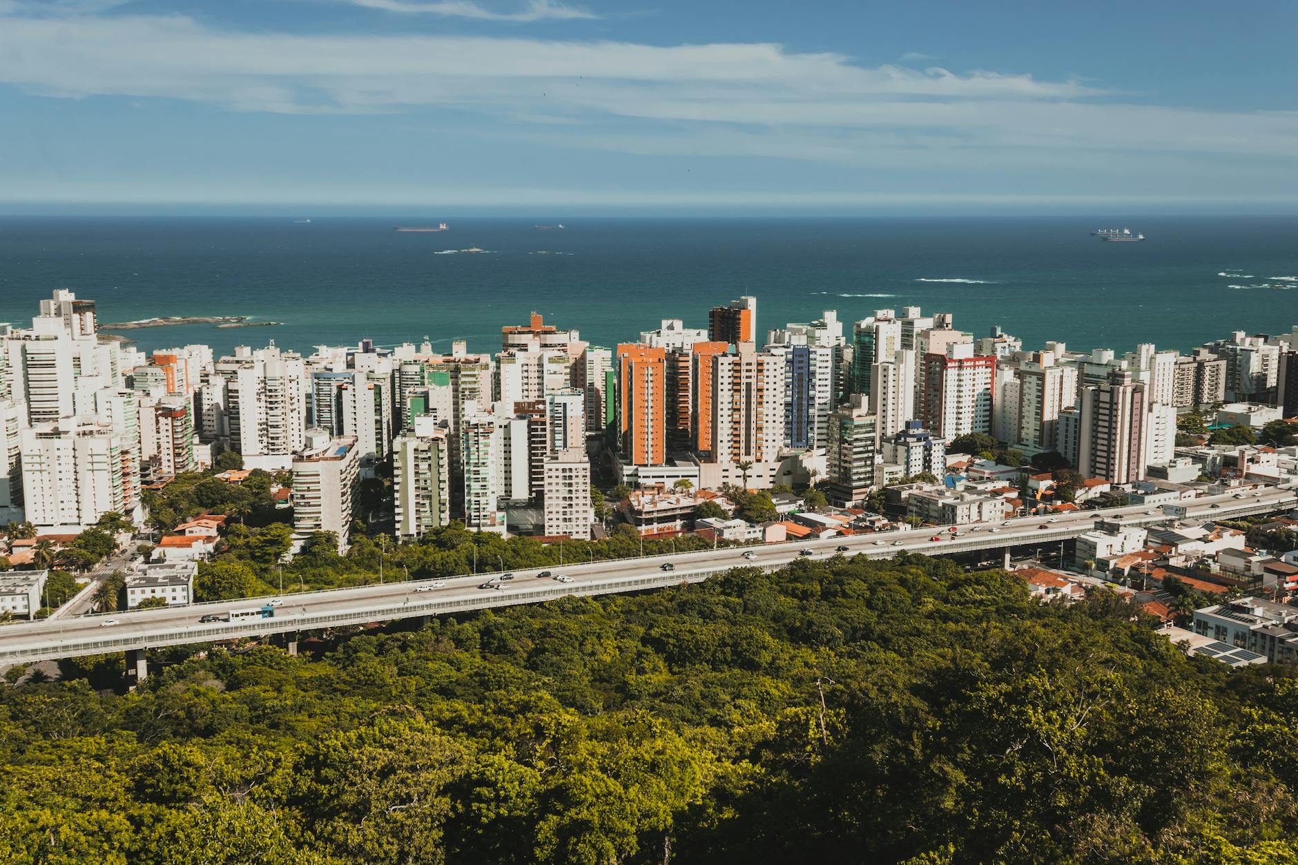 Detailansicht: Brasilien