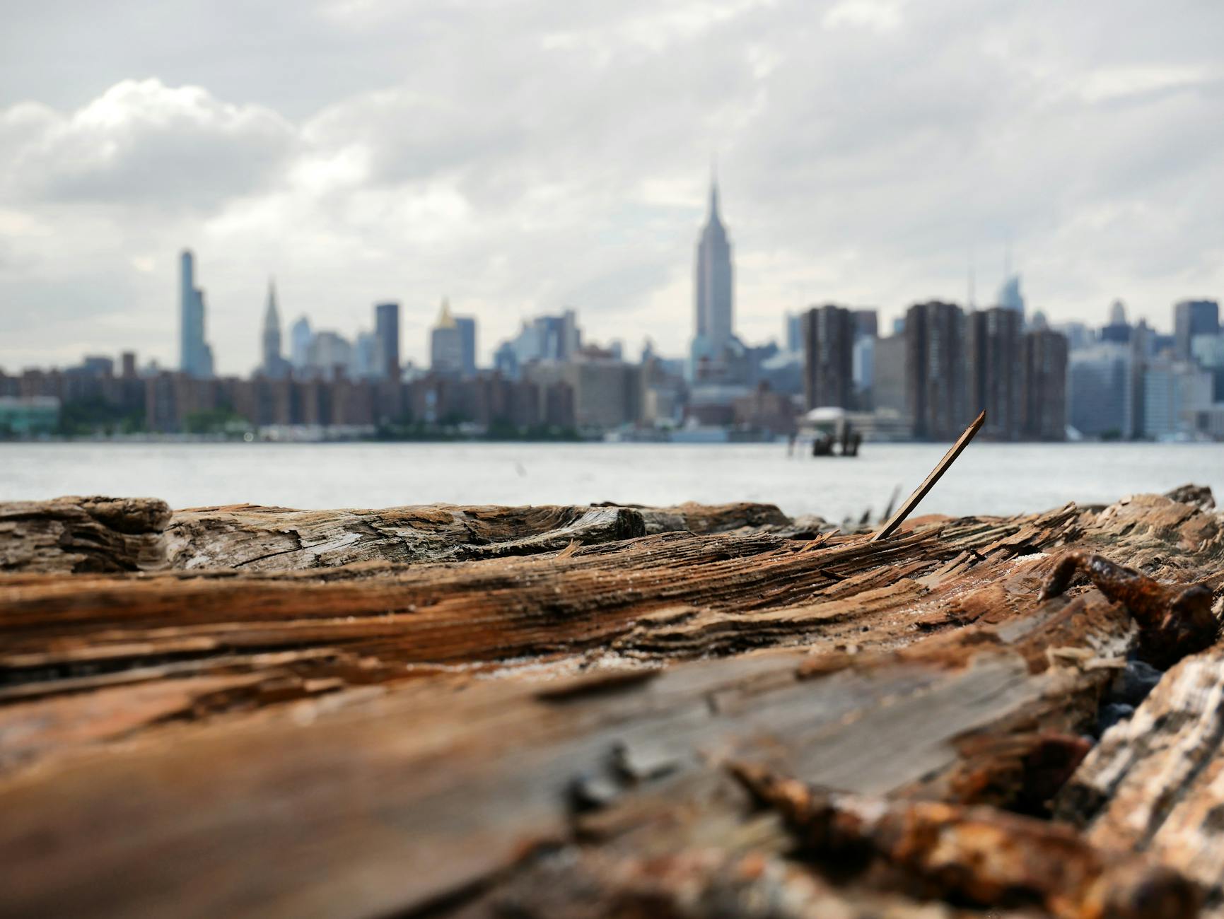 Detailansicht: Brennholz