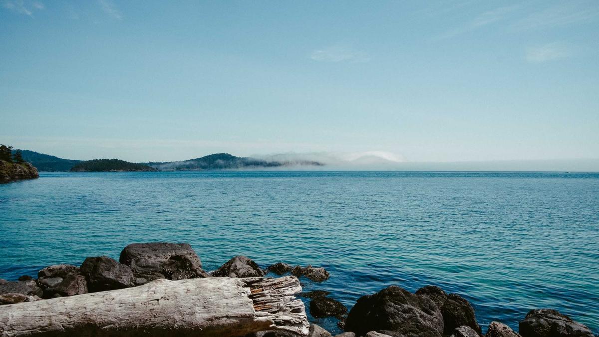 Detailansicht: Brot Stöcki
