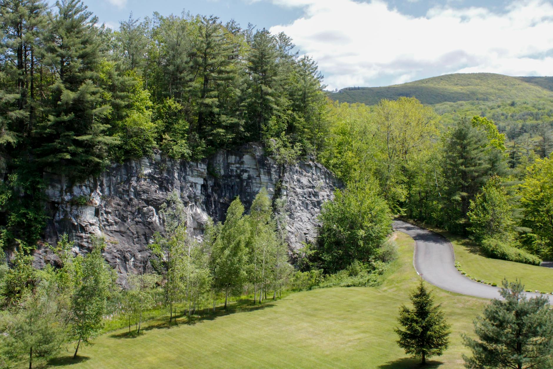 Bryan Adams Illustration zu Bryan Adams