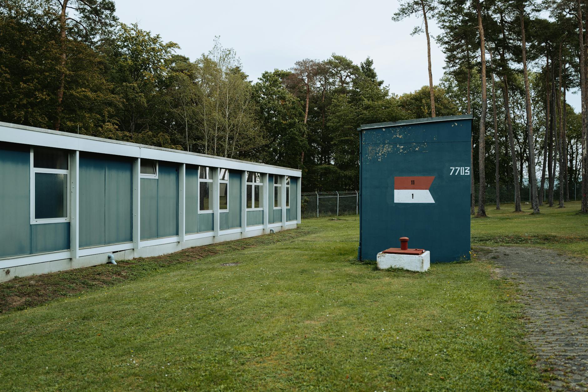 Buchenwald Detailansicht: Buchenwald