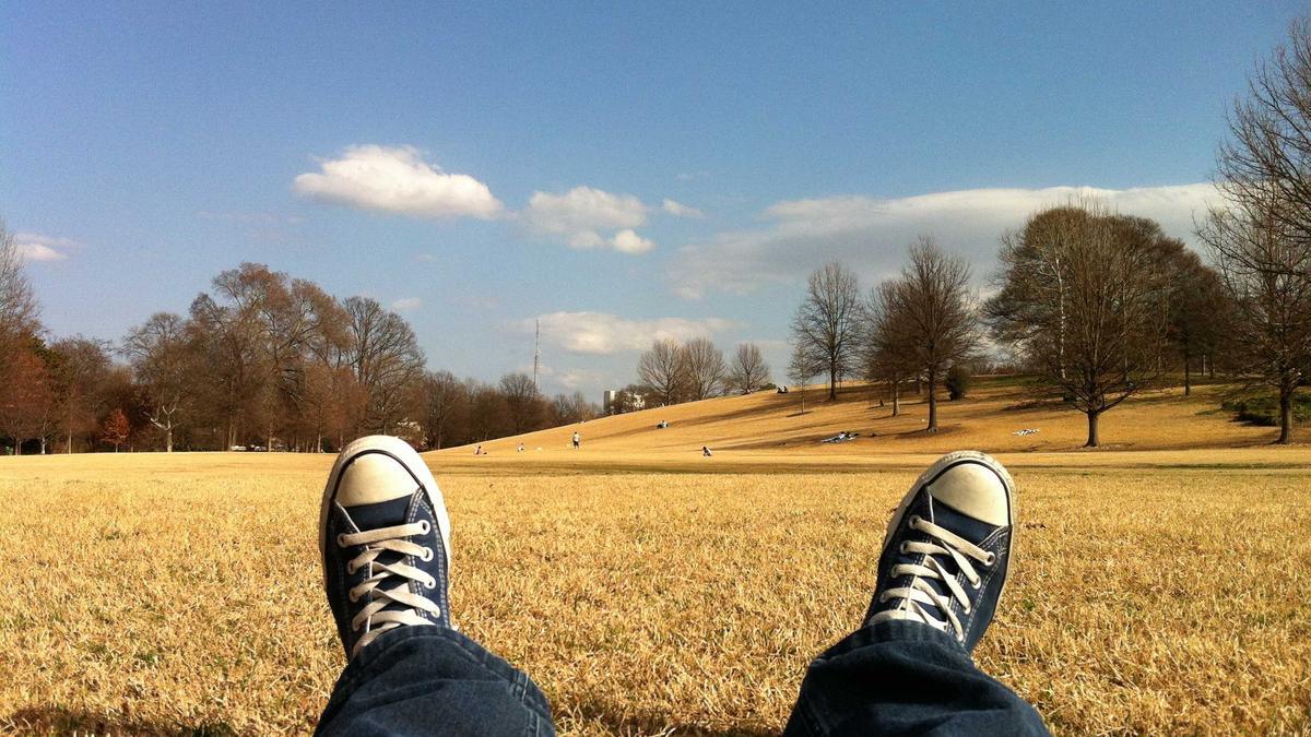 Buckelwal Ostsee Illustration zu Buckelwal Ostsee