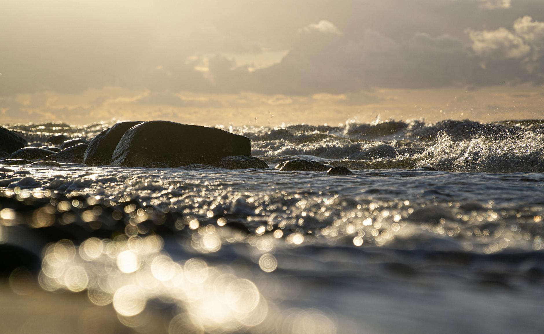 Illustration zu Buckelwal Ostsee Gestrandet