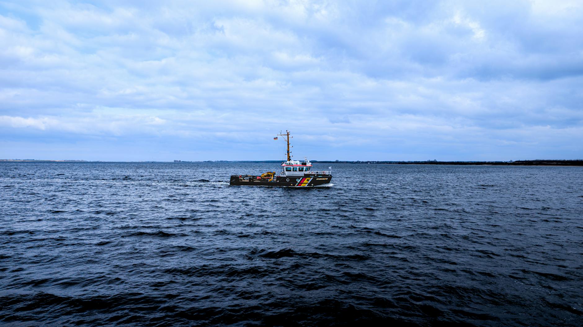 Detailansicht: Buckelwal Wismar