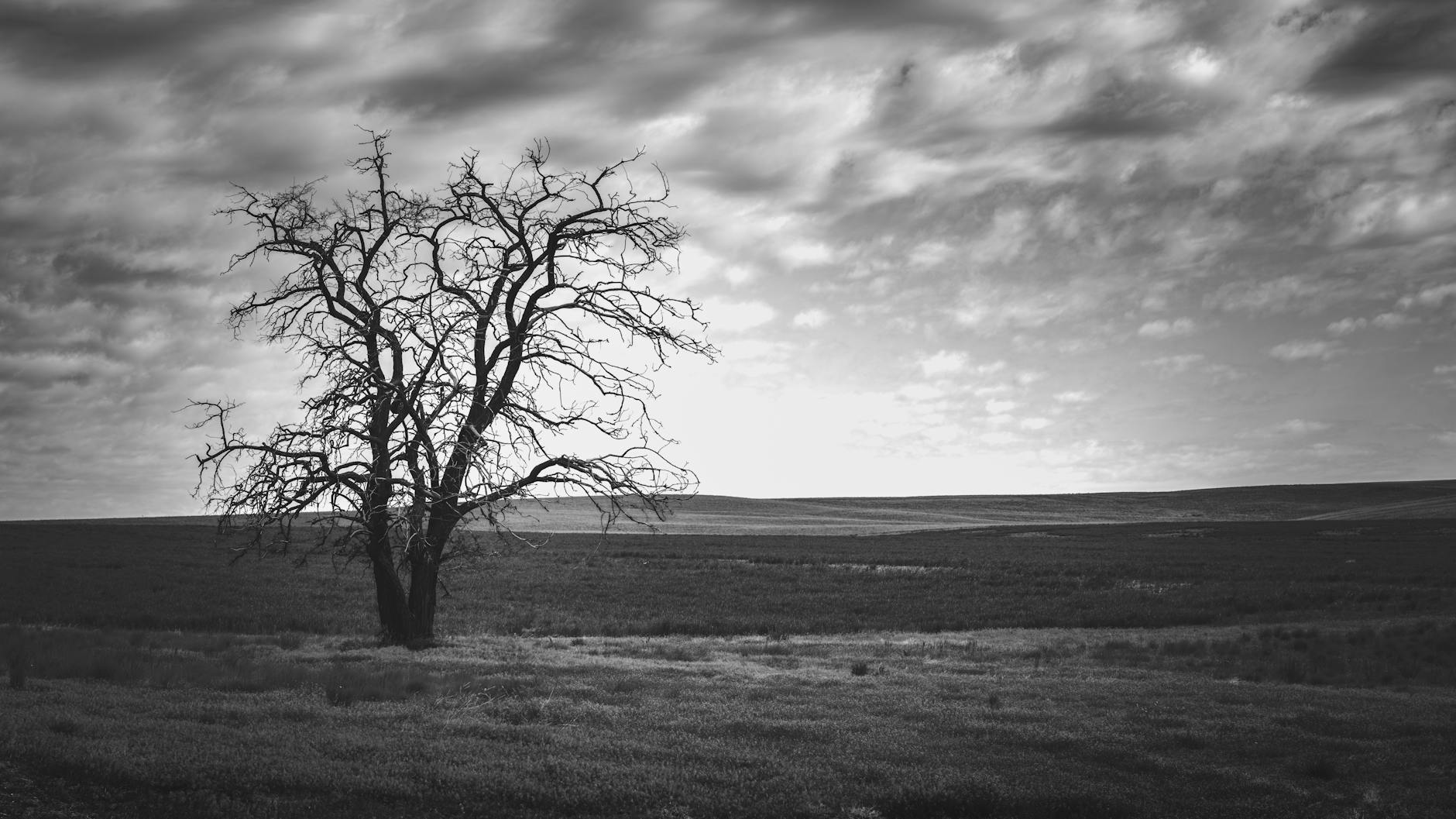 Burnley – Mansfield Detailansicht: Burnley – Mansfield