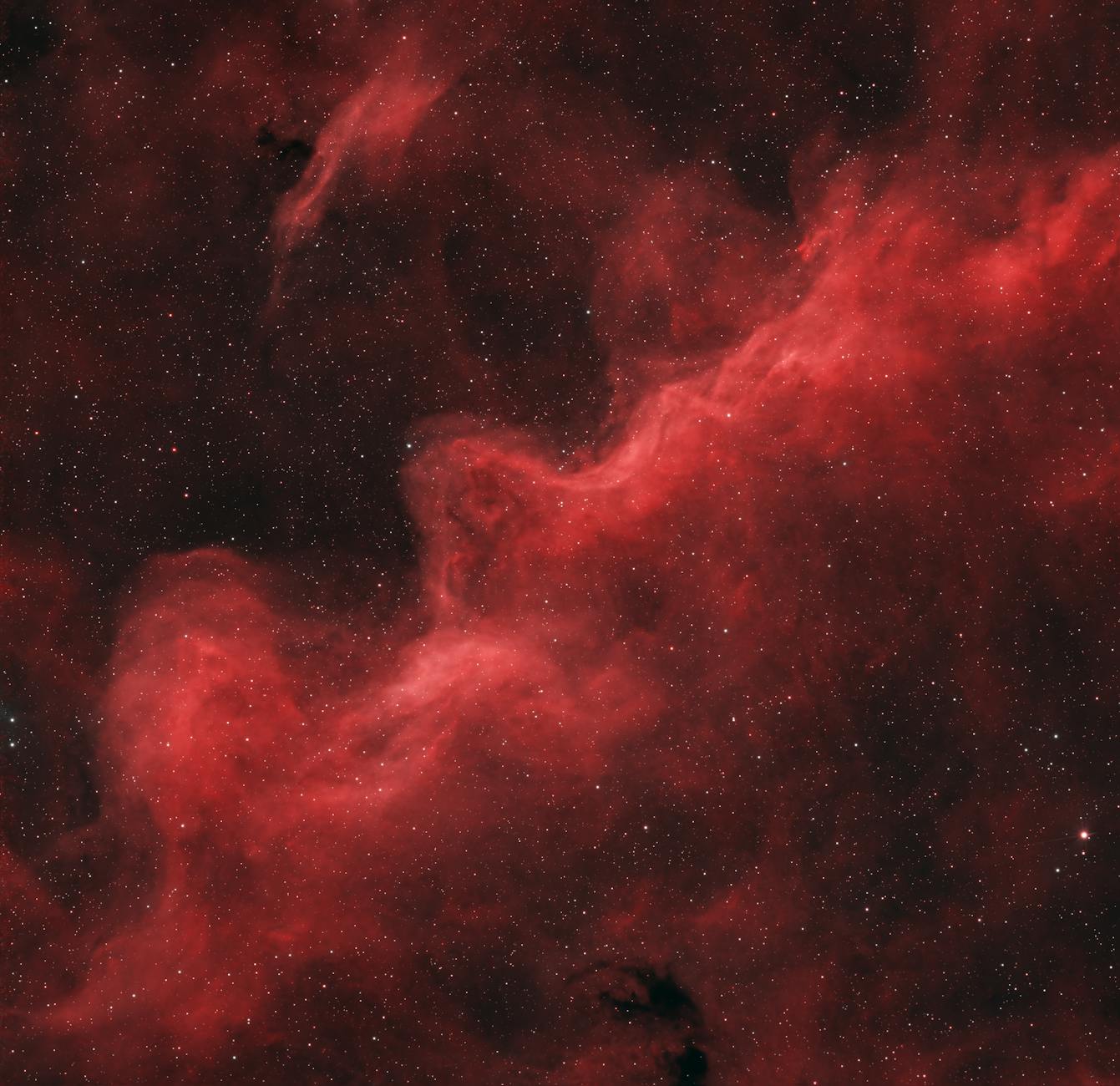 Illustration zu Carina Edlingerova