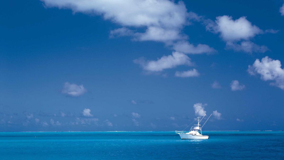 Symbolbild zum Thema Carly Rae Jepsen Baby