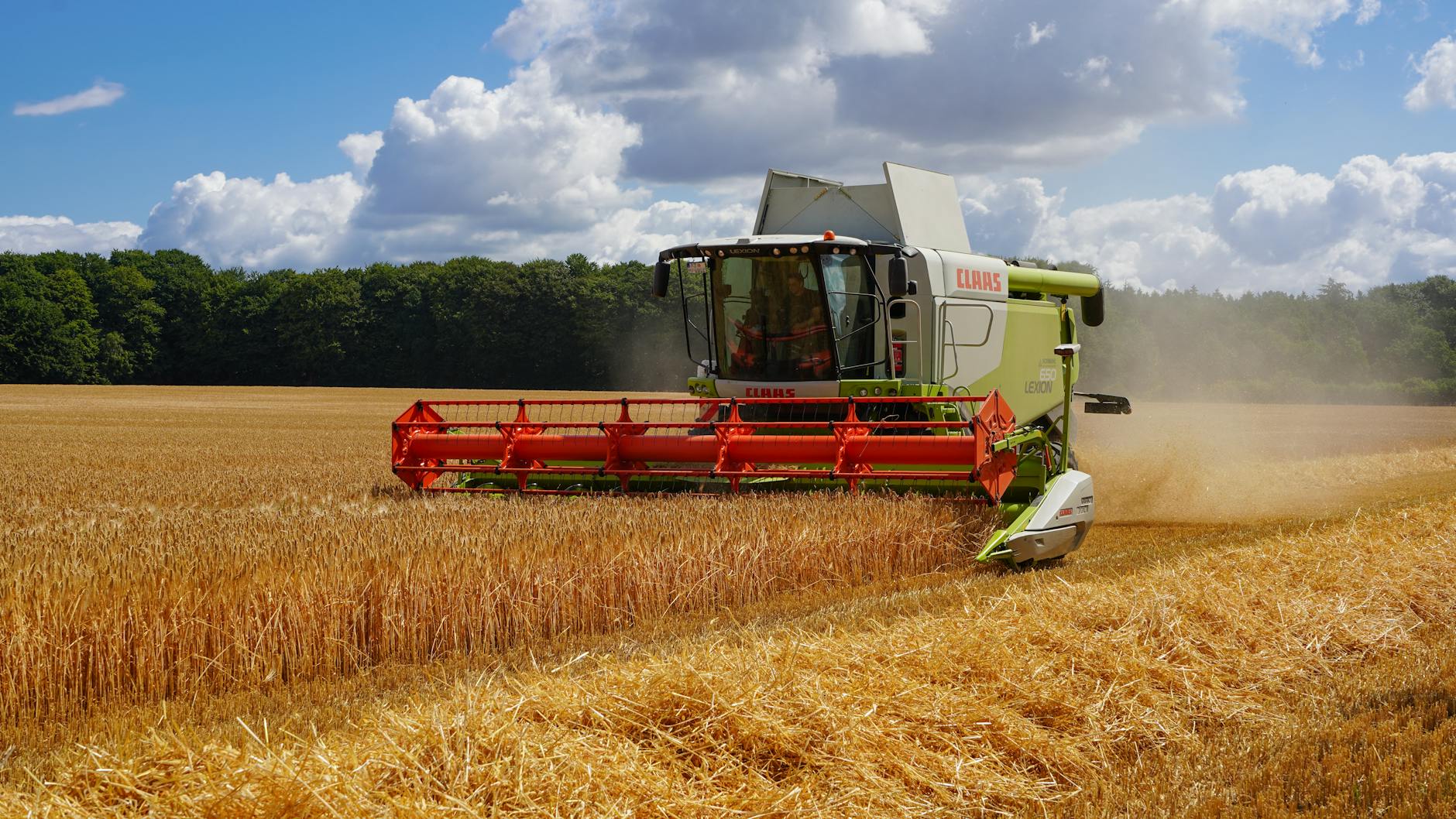 Detailansicht: CDU Schleswig-holstein