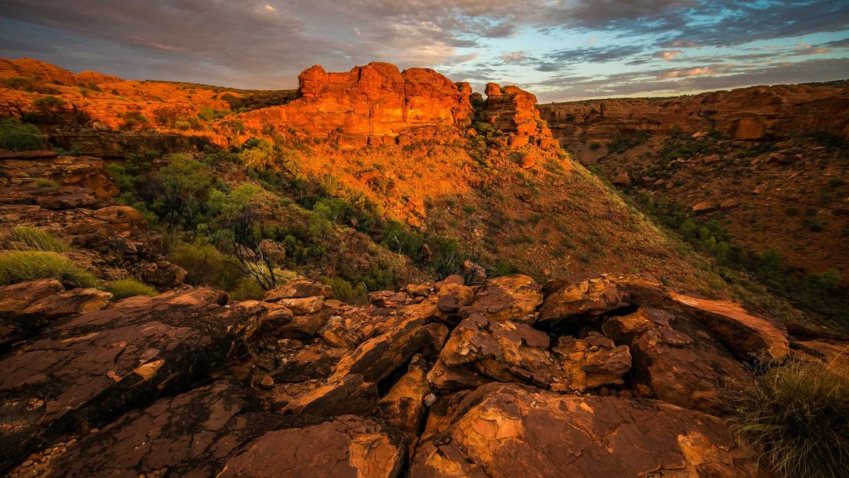 Symbolbild zum Thema Champions League Draw