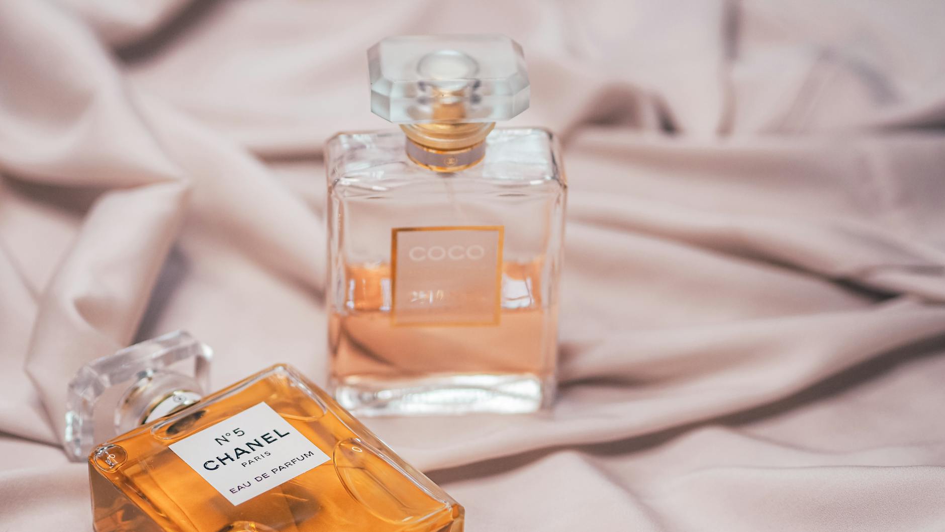 Coco Gauff Illustration zu Coco Gauff