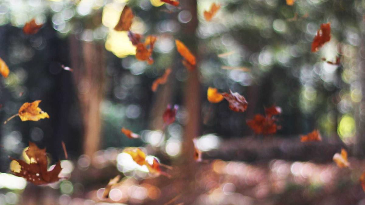 Symbolbild zum Thema Como - Pisa