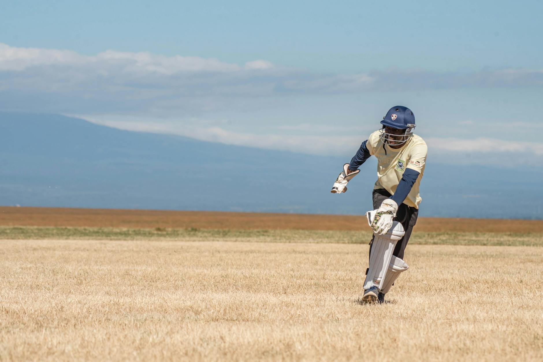 Illustration zu Cricket