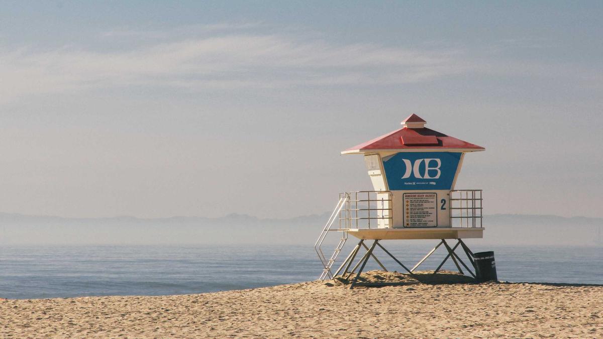 Illustration zu Cross Country Skiing