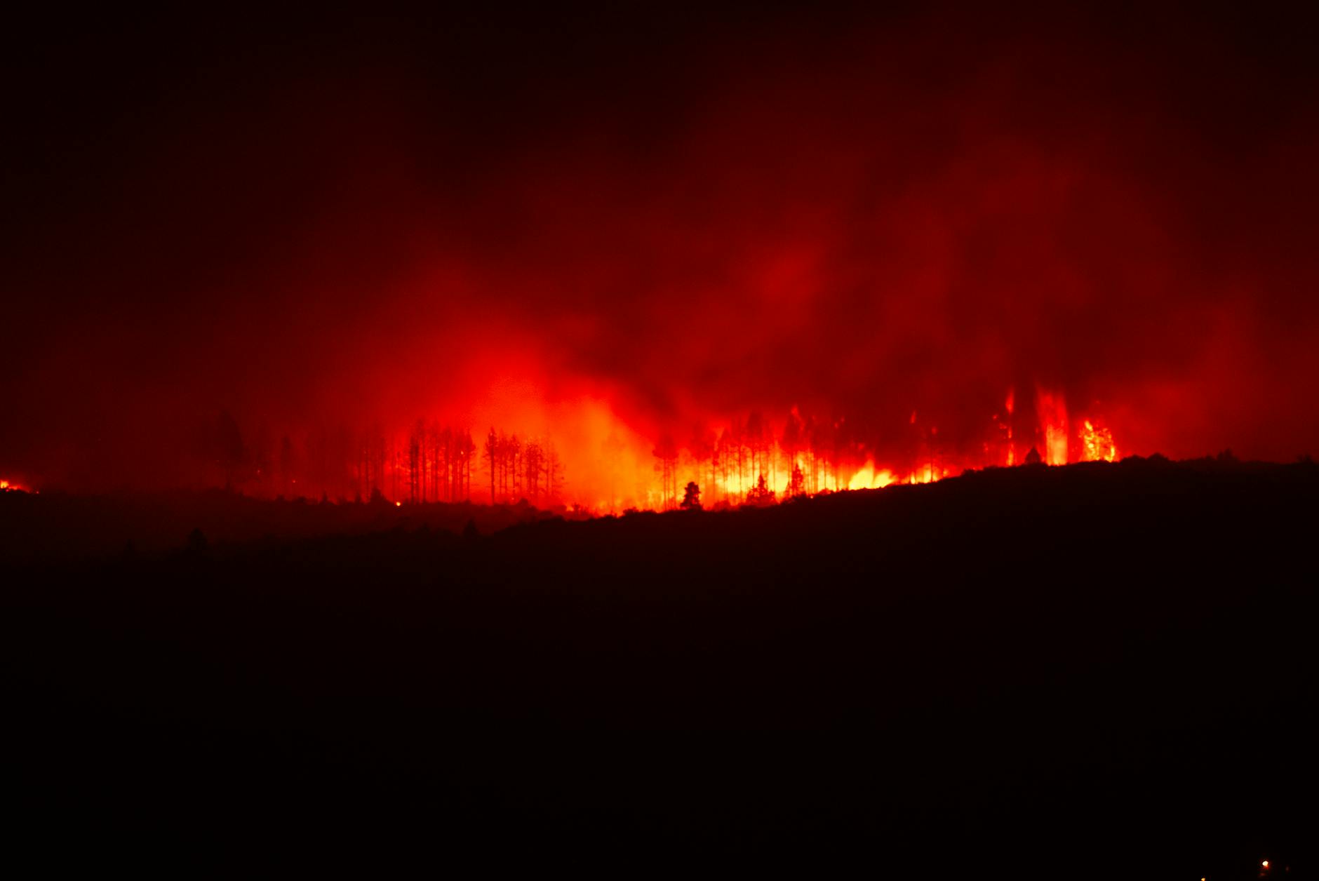 Detailansicht: Cruz Beckham Versöhnung
