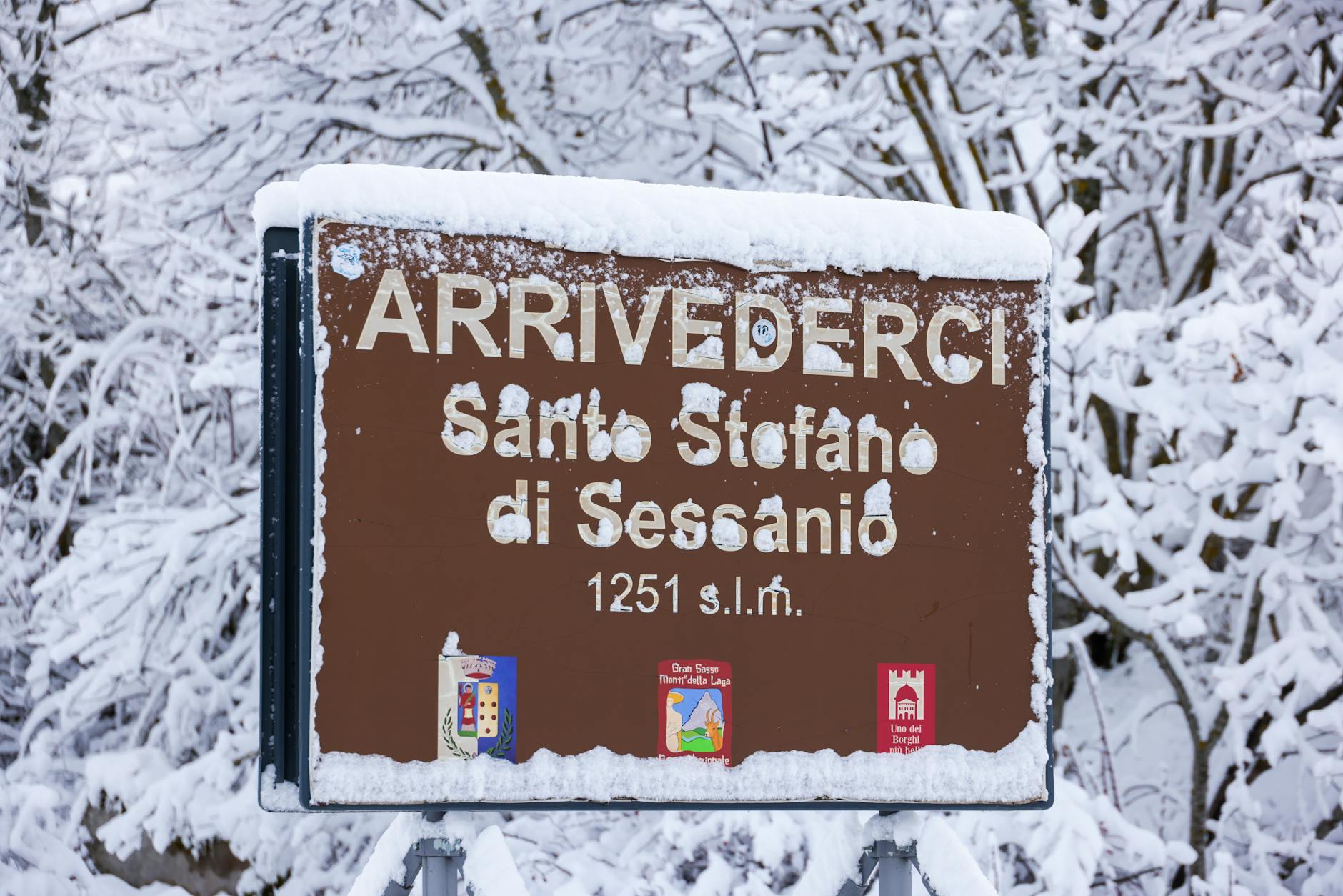 Daniele Di Stefano Detailansicht: Daniele Di Stefano