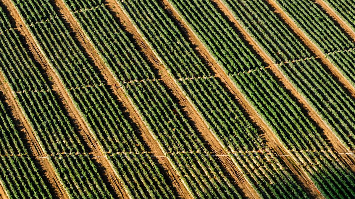 Danny Fujikawa Kate Hudson Symbolbild zum Thema Danny Fujikawa Kate Hudson