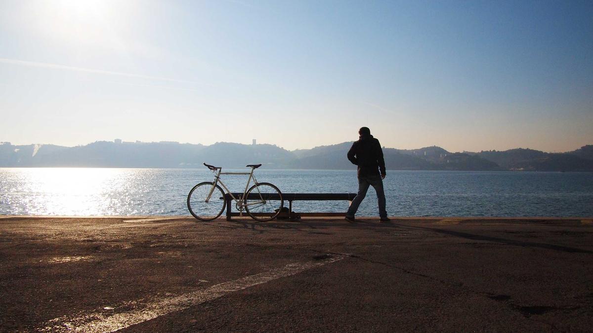 Darmstadt 98 – Schalke Detailansicht: Darmstadt 98 – Schalke