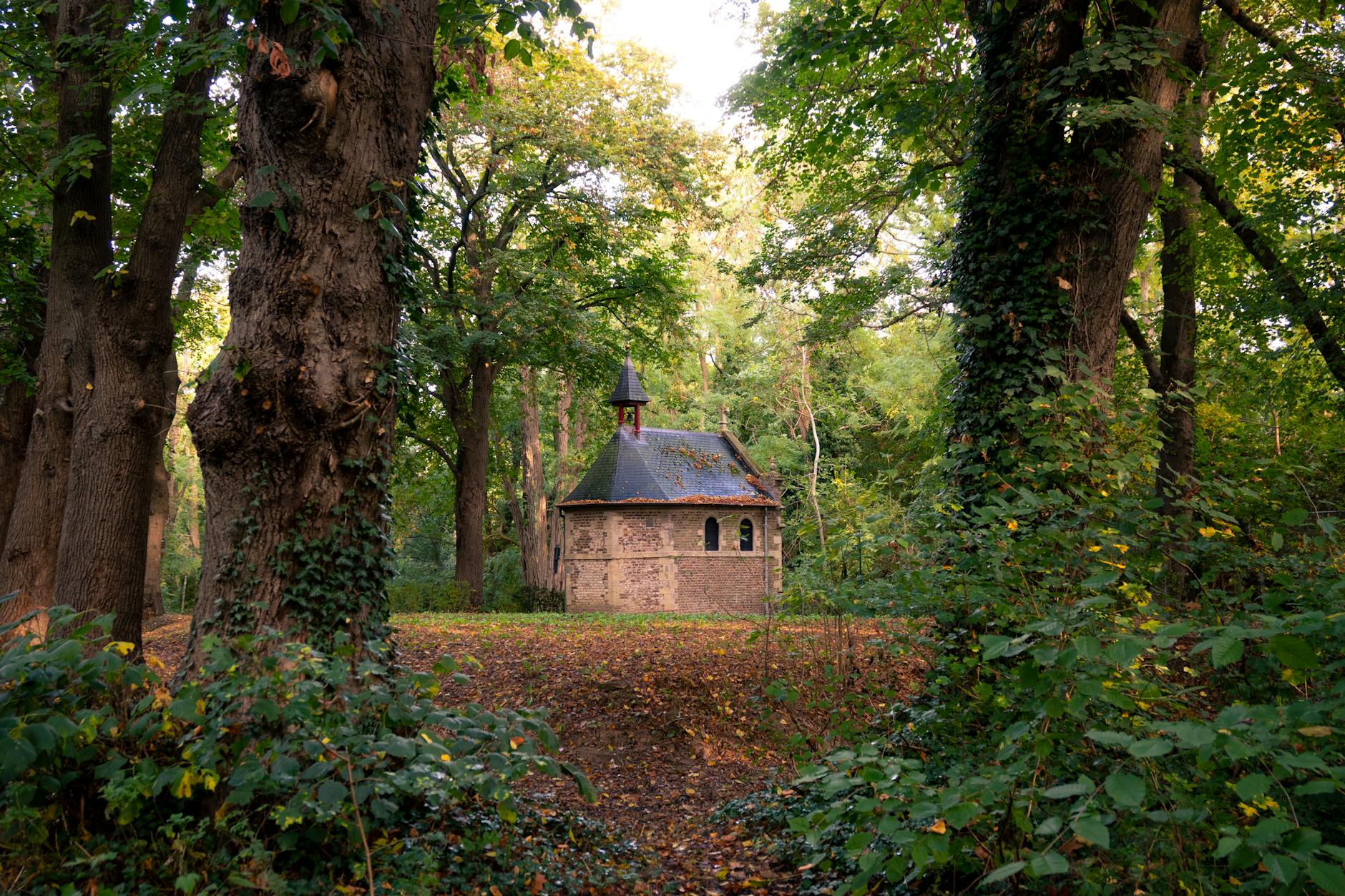 Das Geheime Stockwerk Illustration zu Das Geheime Stockwerk