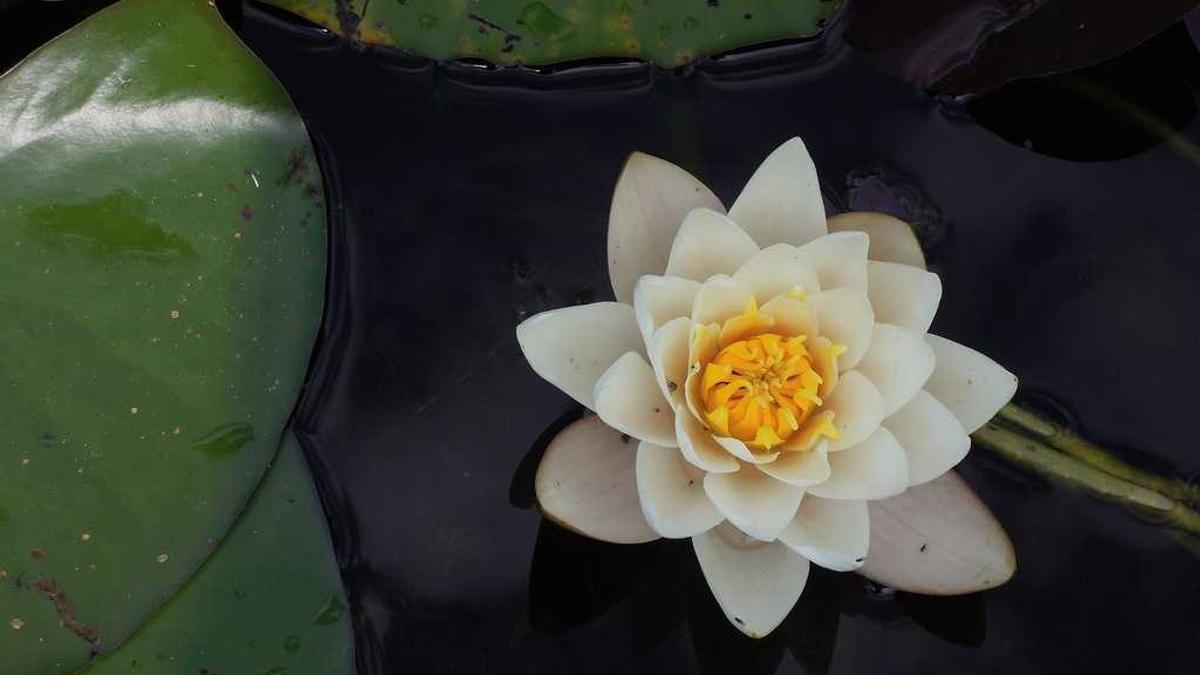 Detailansicht: Daunenjacke Waschen