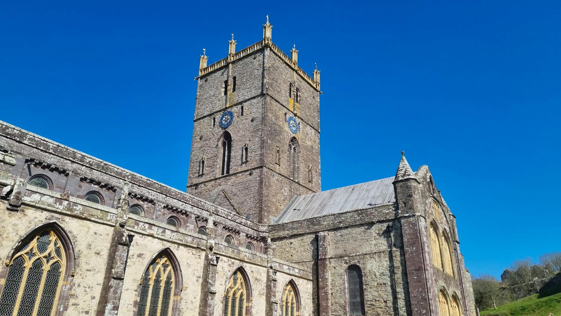 David Schalko Illustration zu David Schalko