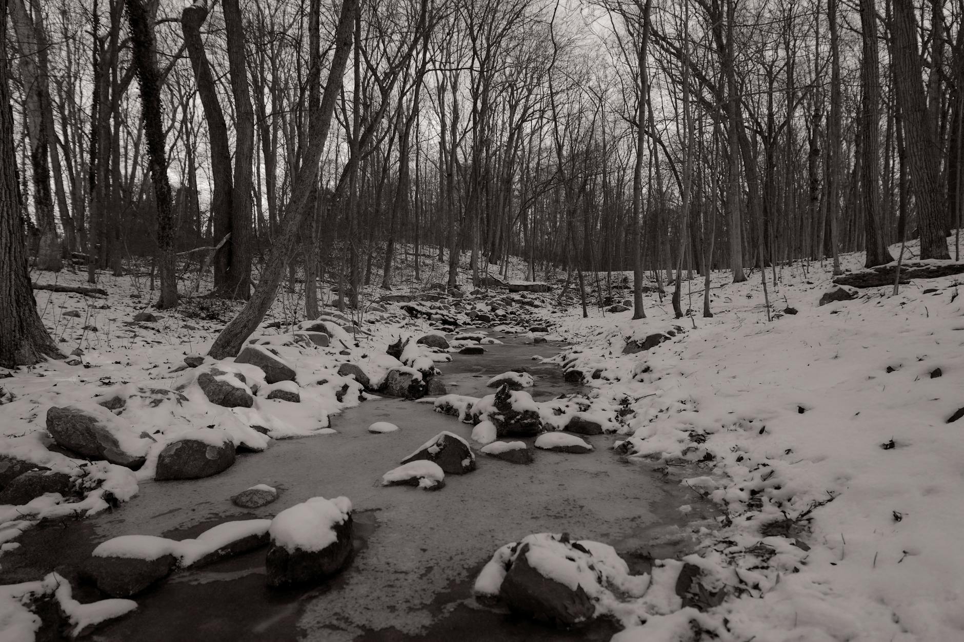 Illustration zu Dawson Creek Schauspieler