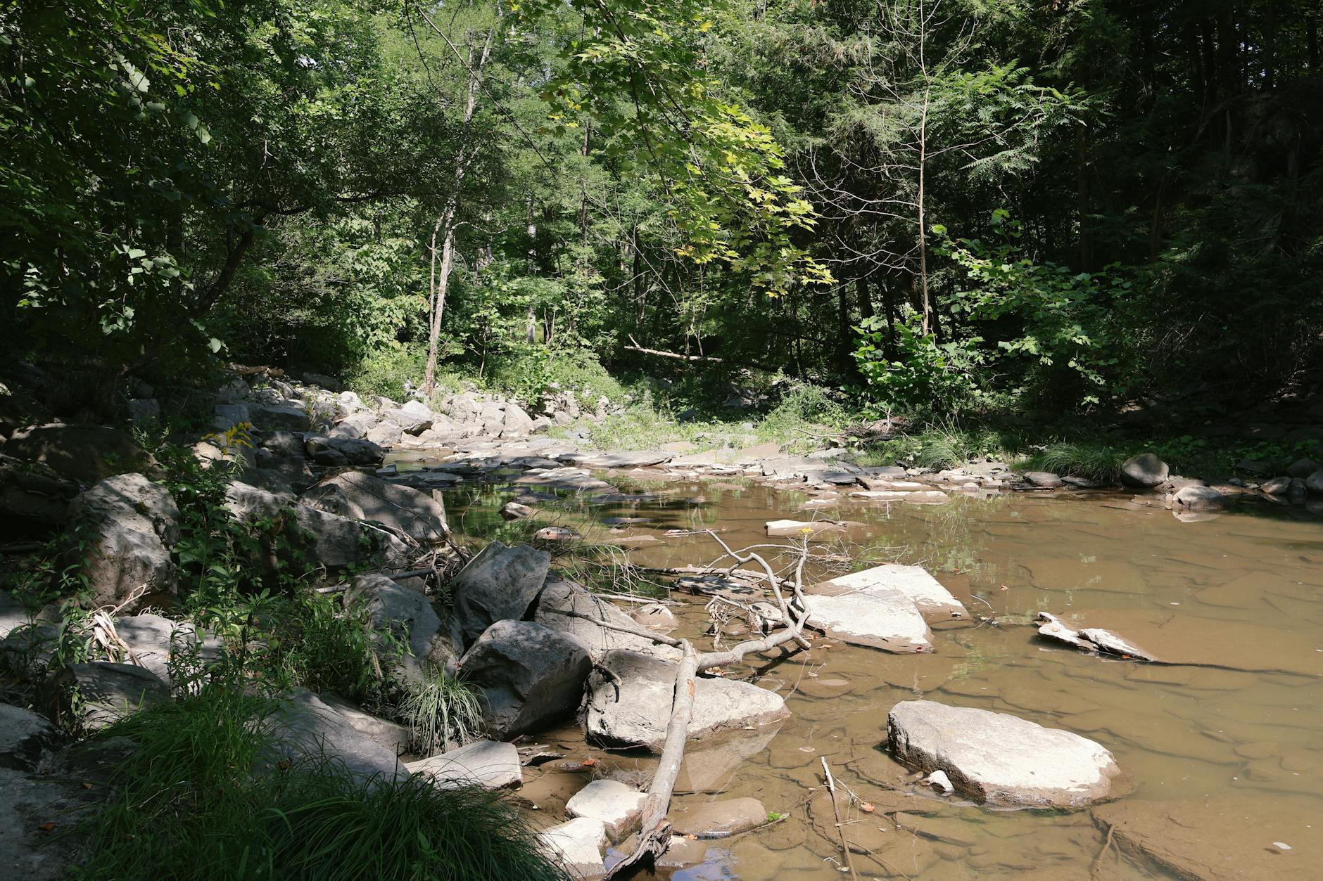 Symbolbild zum Thema Dawsons Creek Darsteller Tot