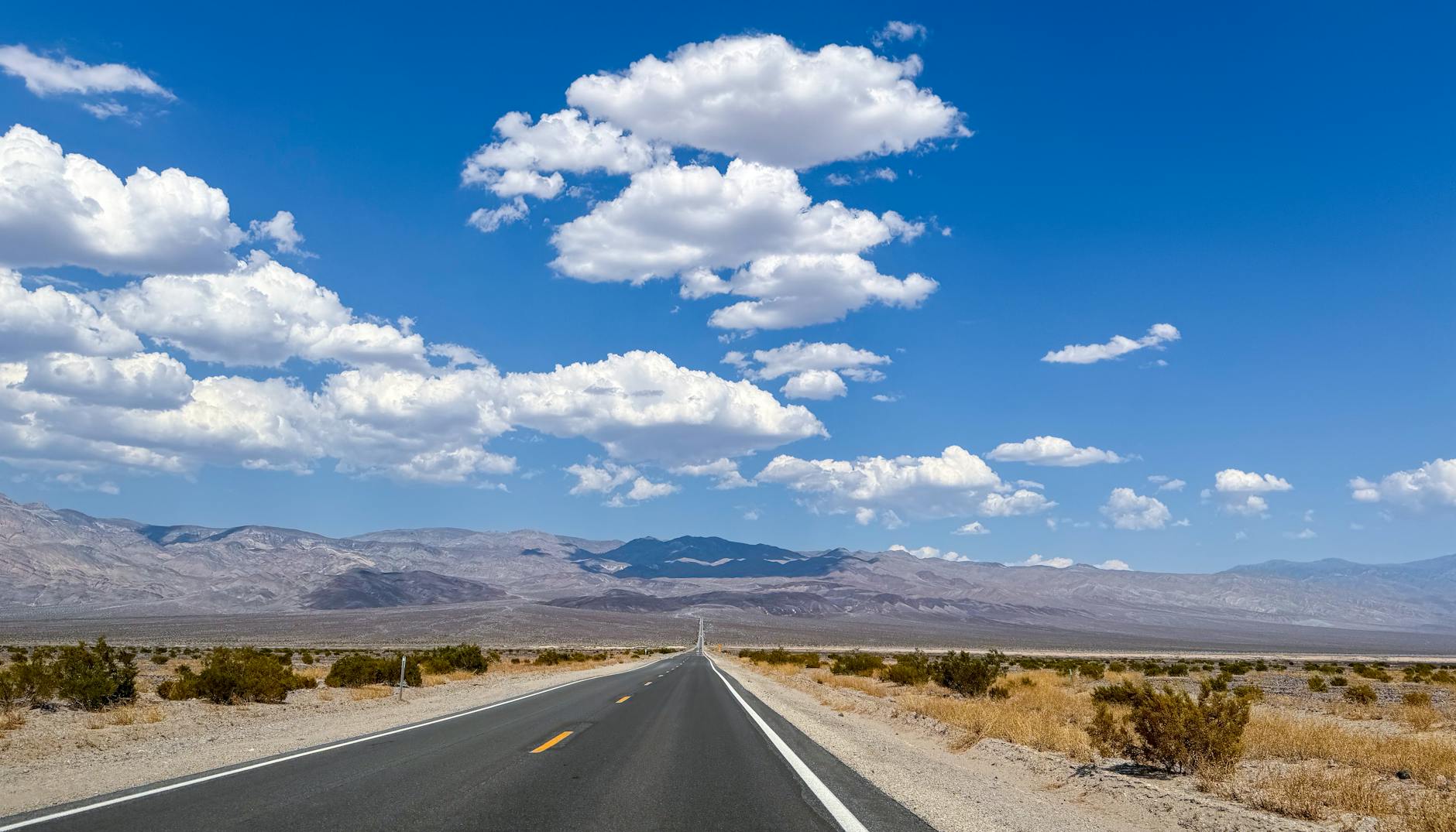 Detailansicht: Death Valley Blüte