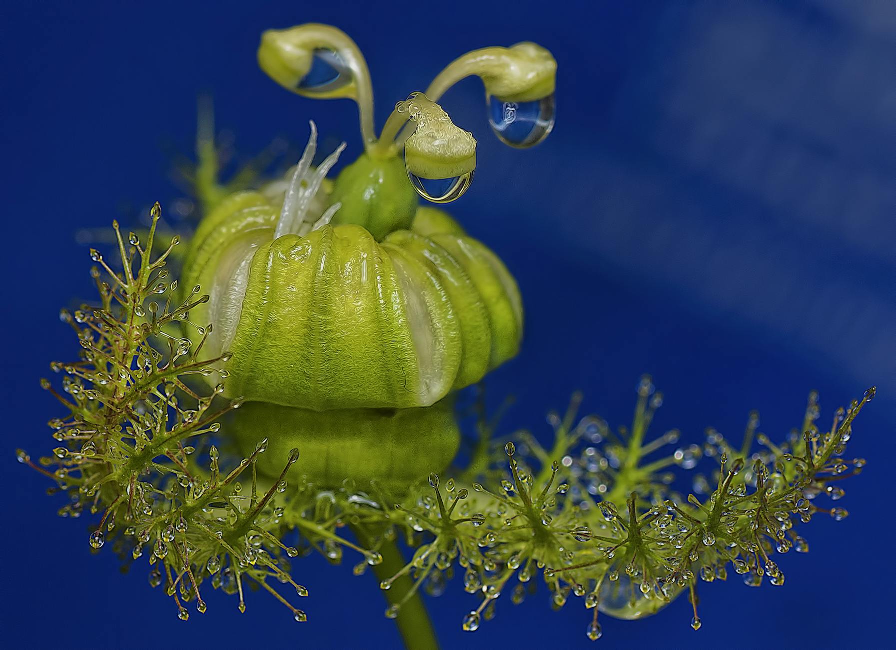 Detailansicht: Demogorgon Lego Blumen