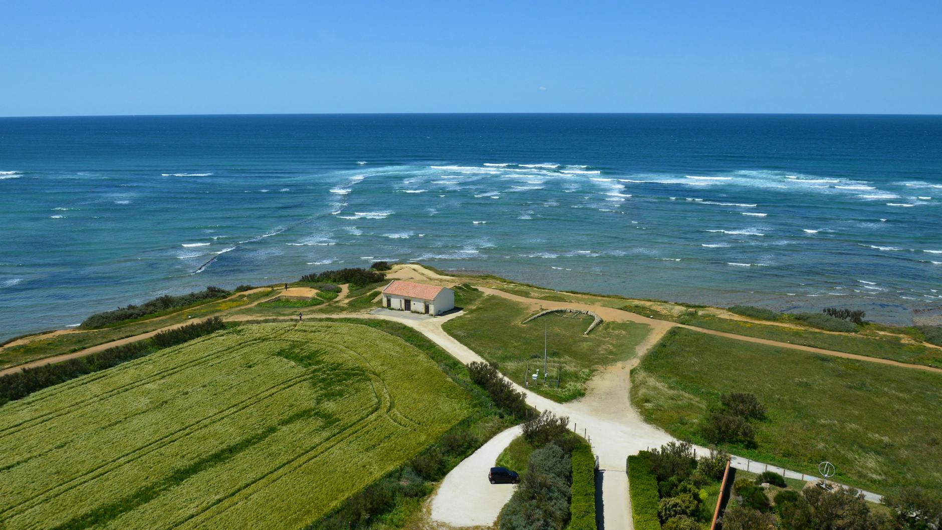 Detailansicht: Denis Scheck