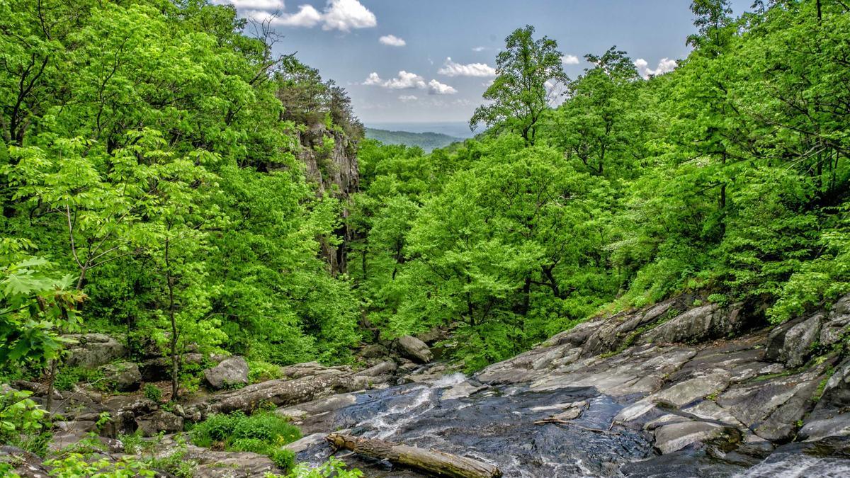 Symbolbild zum Thema Diesel Preis Aktuell