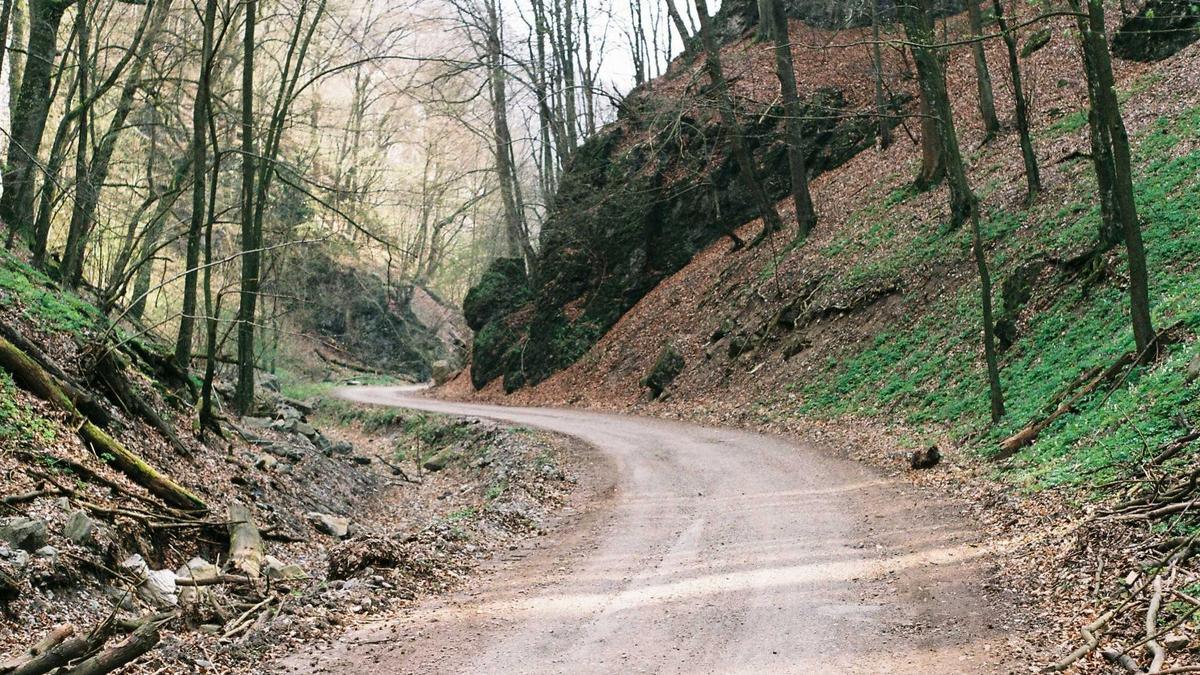 Detailansicht: Dieselpreisbremse Forderung