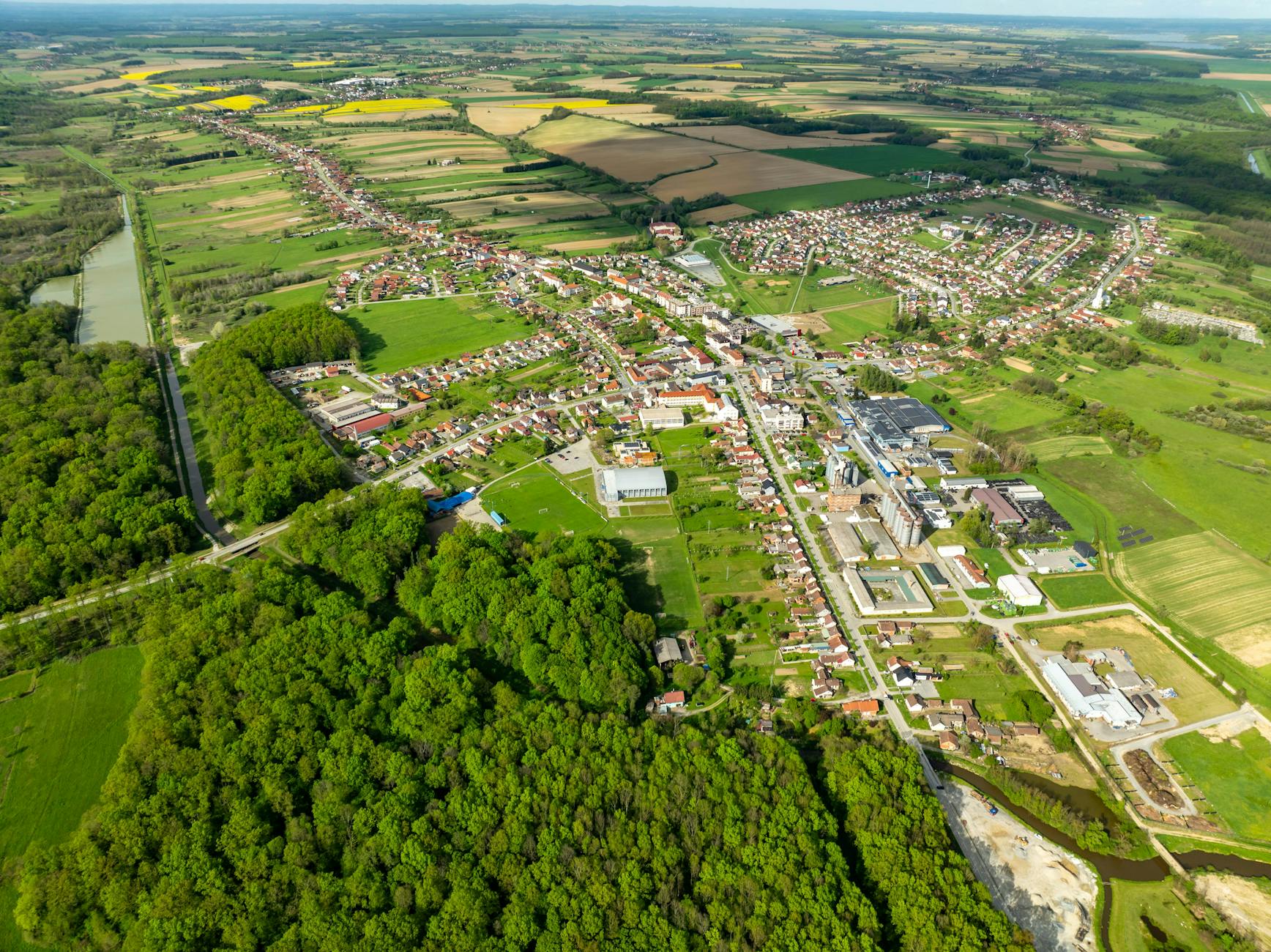 Detailansicht: Doskozil Kehlkopf